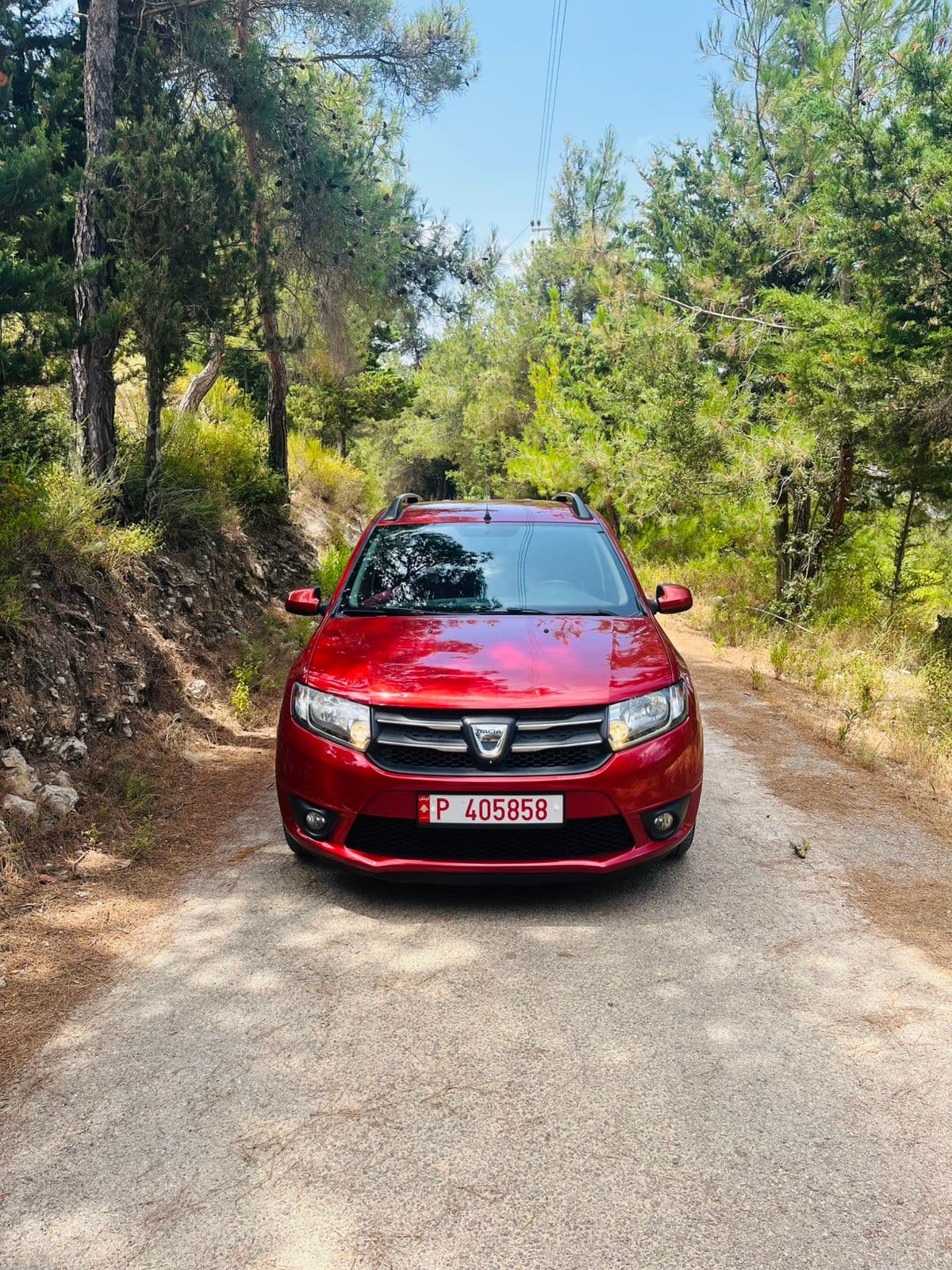 One of our vehicles — Dacia Logan MCV
